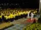 dsc00751_small.jpg
