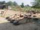 dsc02915_small.jpg