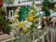 dsc00057_small.jpg