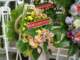 dsc00058_small.jpg