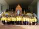 dsc05109_small.jpg