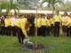 dsc04598_small.jpg