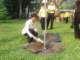 dsc04601_small.jpg