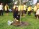dsc04604_small.jpg