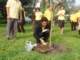dsc04605_small.jpg