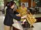 dsc05623_small.jpg
