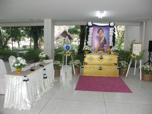 pict0157.jpg