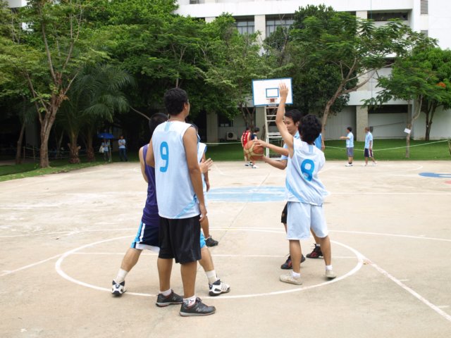 p1013674.jpg
