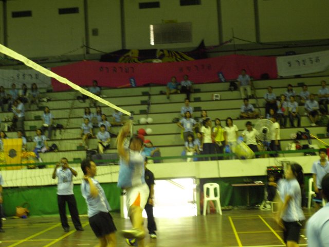 p1013806.jpg