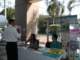 dscf1234_small.jpg