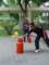 dsc03644_small.jpg