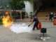 dsc03664_small.jpg