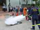 dsc03666_small.jpg