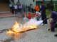 dsc03667_small.jpg