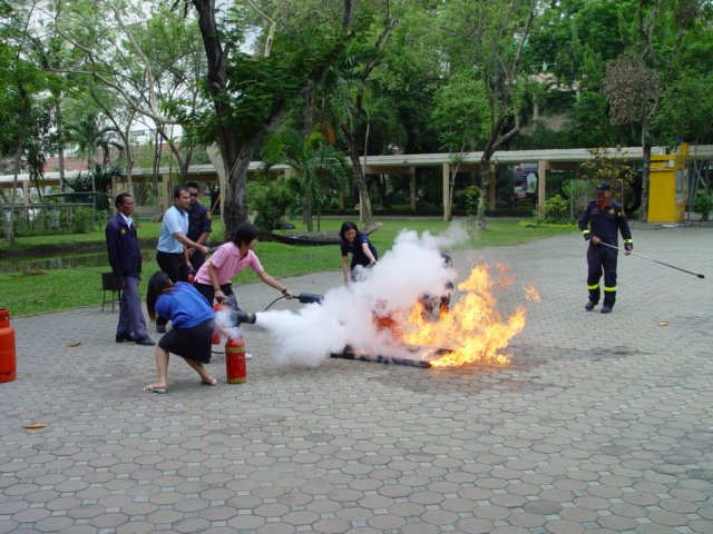 dsc03670.jpg