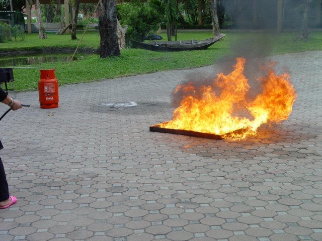 dsc03674.jpg