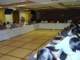 dsc04659_small.jpg