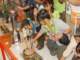 dsc05983_small.jpg