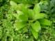 dsc05993_small.jpg