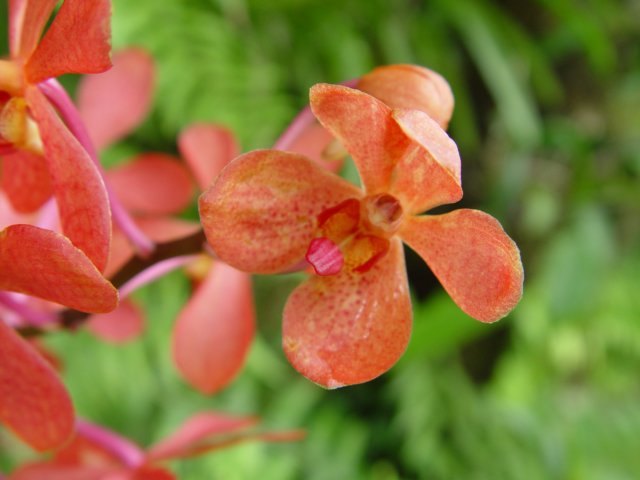 dsc05994.jpg