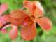 dsc05995_small.jpg