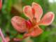 dsc05996_small.jpg