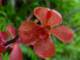 dsc05997_small.jpg