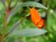 dsc05998_small.jpg