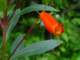 dsc05999_small.jpg