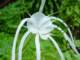 dsc06000_small.jpg