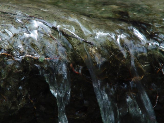dsc06001.jpg