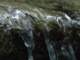 dsc06001_small.jpg