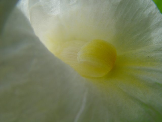 dsc06002.jpg