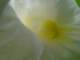 dsc06002_small.jpg