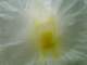 dsc06003_small.jpg