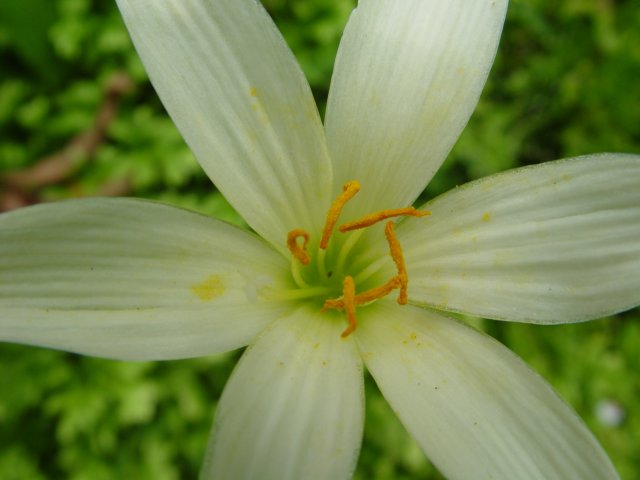 dsc06004.jpg