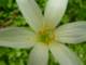 dsc06004_small.jpg