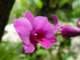 dsc06006_small.jpg