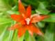 dsc06007_small.jpg