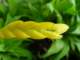 dsc06008_small.jpg