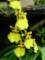 dsc06009_small.jpg