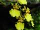 dsc06010_small.jpg