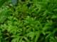 dsc06011_small.jpg