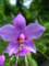 dsc06012_small.jpg