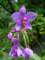 dsc06013_small.jpg