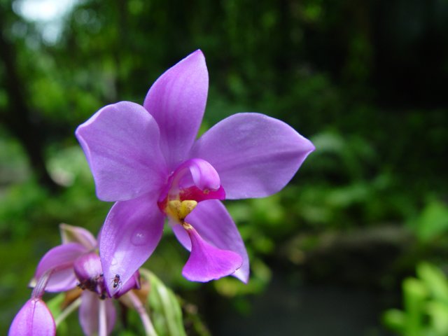 dsc06014.jpg