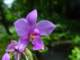 dsc06014_small.jpg