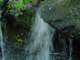 dsc06015_small.jpg