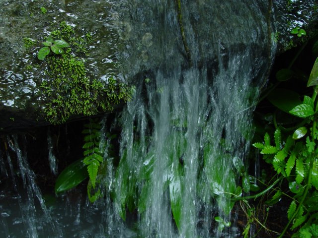 dsc06016.jpg