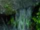 dsc06016_small.jpg